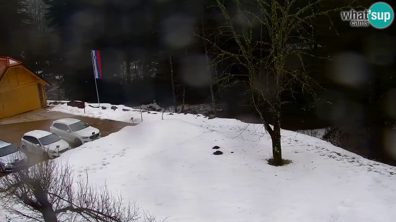 Webcam Lukanja – Water Village | Pohorje Houses