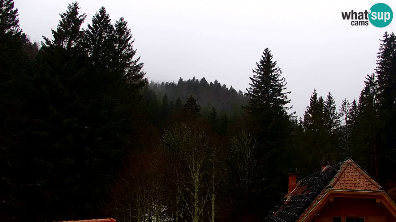 Spletna kamera Lukanja – Water Village | Pohorje Houses