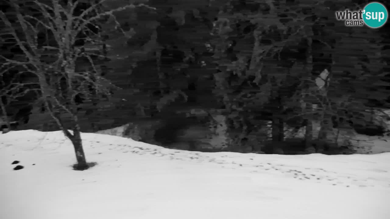 Webcam Lukanja – Water Village | Pohorje Houses