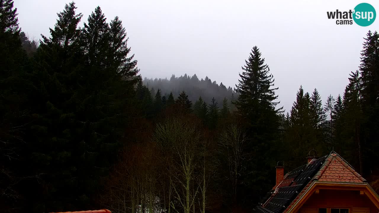 Webcam Lukanja – Water Village | Pohorje Houses