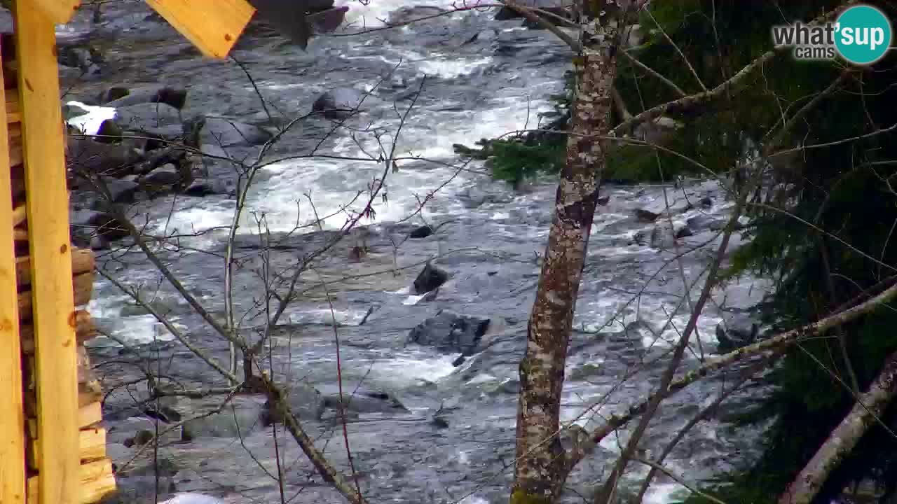Webcam Lukanja – Pohorje houses a Water village