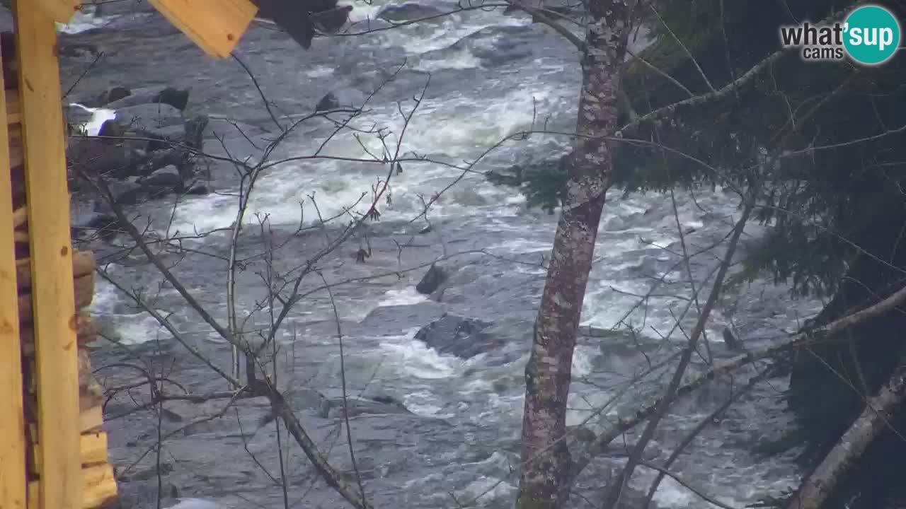 Webcam Lukanja – Pohorje houses a Water village