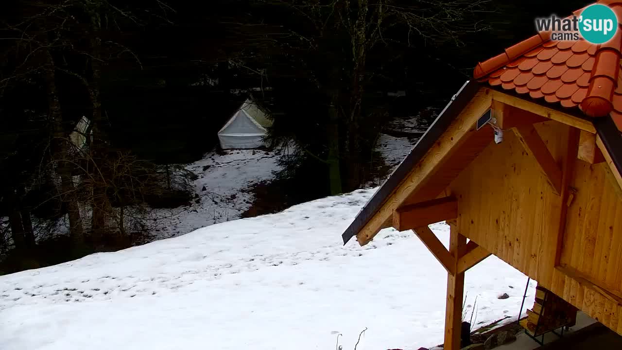 Webcam Lukanja – Water Village | Pohorje Houses