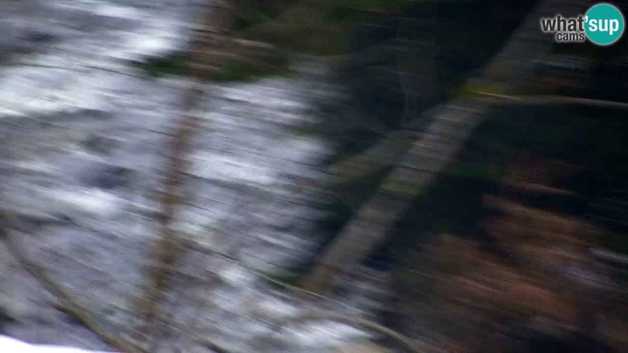 Webcam Lukanja – Water Village | Pohorje Houses