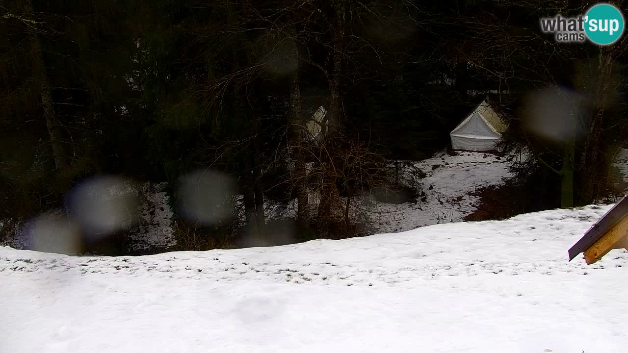 Webcam Lukanja – Pohorje houses a Water village