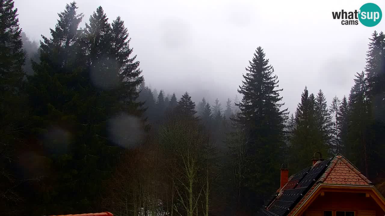 Webcam Lukanja – Water Village | Pohorje Houses