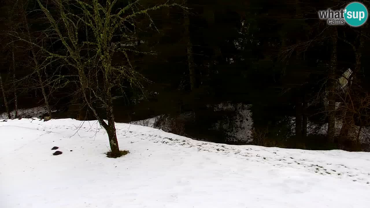 Spletna kamera Lukanja – Water Village | Pohorje Houses