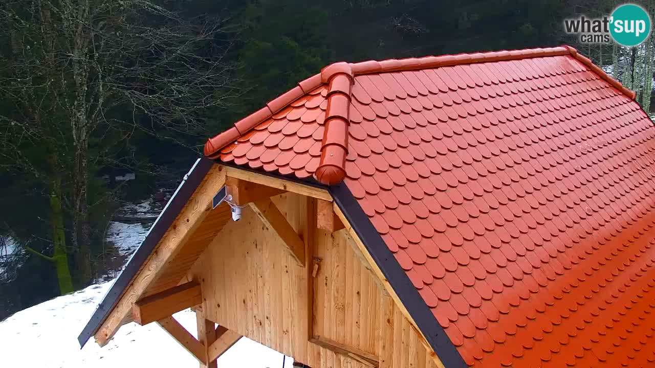 Web kamera Lukanja – Water Village | Pohorje Houses
