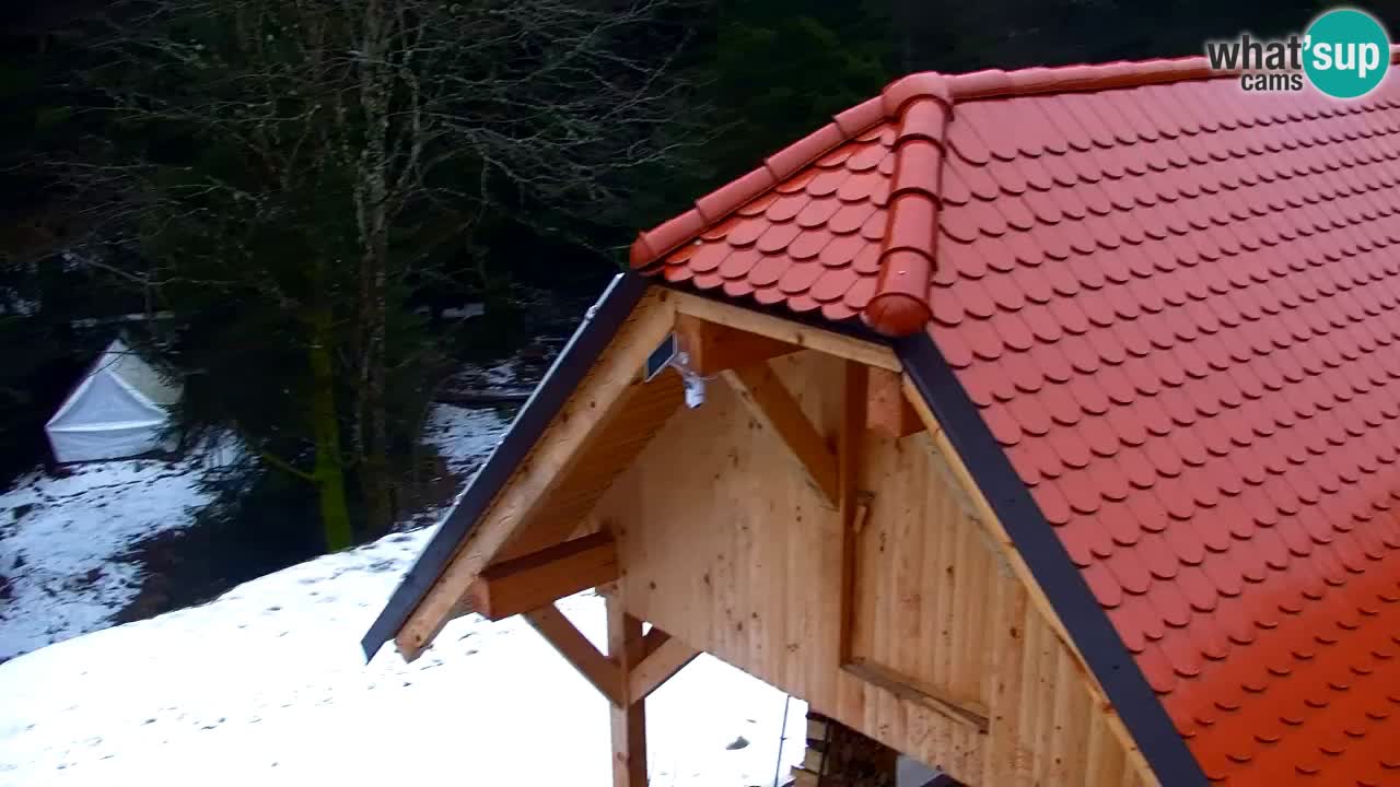 Webcam Lukanja – Water Village | Pohorje Houses