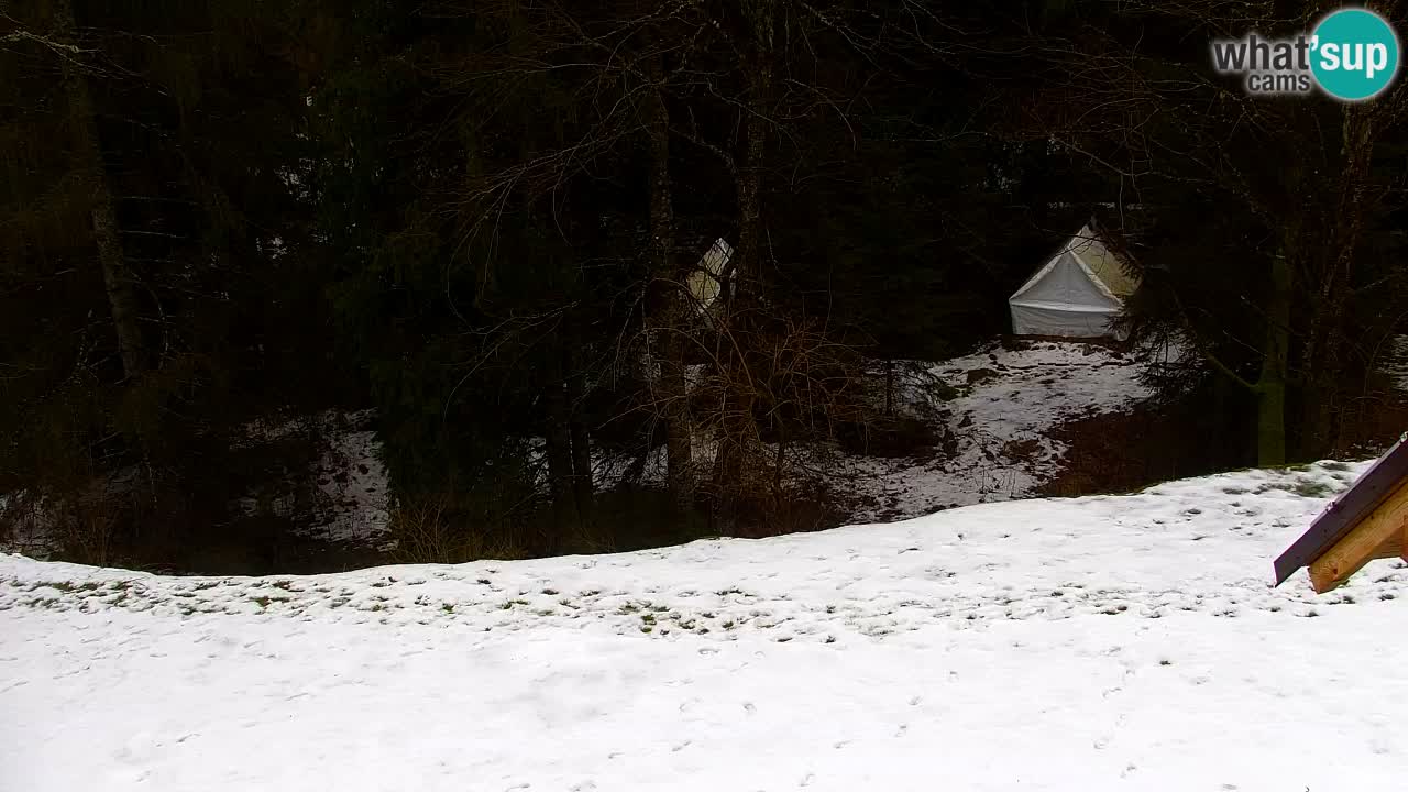 Webcam Lukanja – Water Village | Pohorje Houses