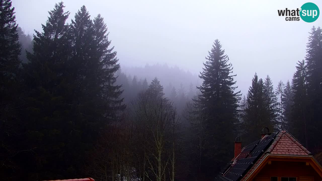 Webcam Lukanja – Water Village | Pohorje Houses