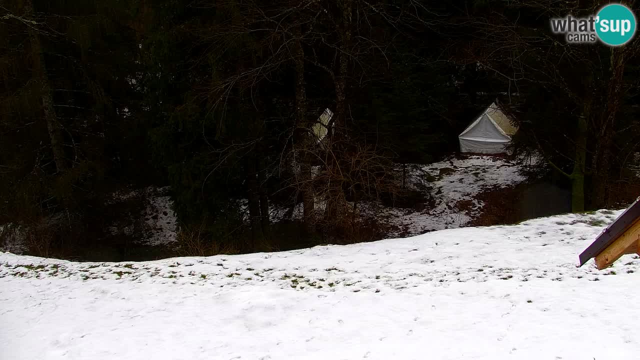 Web kamera Lukanja – Water Village | Pohorje Houses