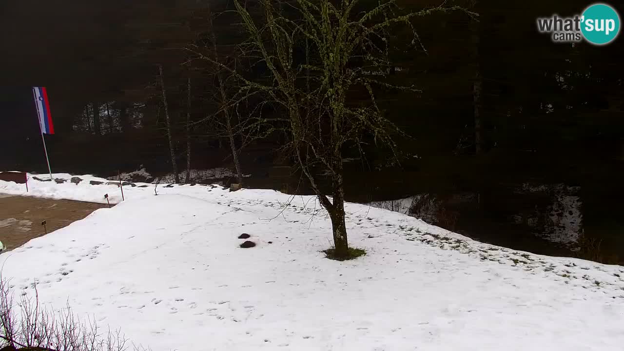 Web kamera Lukanja – Water Village | Pohorje Houses