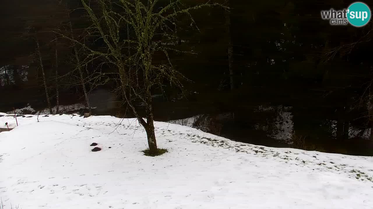 Spletna kamera Lukanja – Water Village | Pohorje Houses