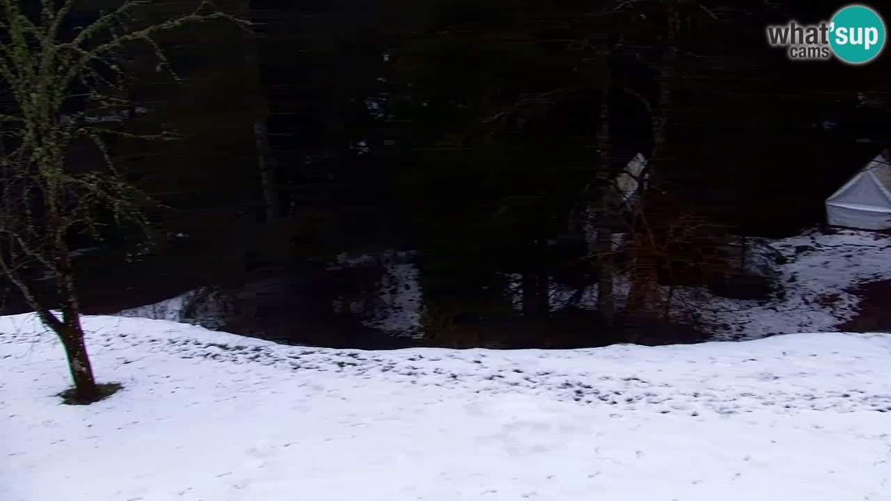 Webcam Lukanja – Pohorje houses a Water village