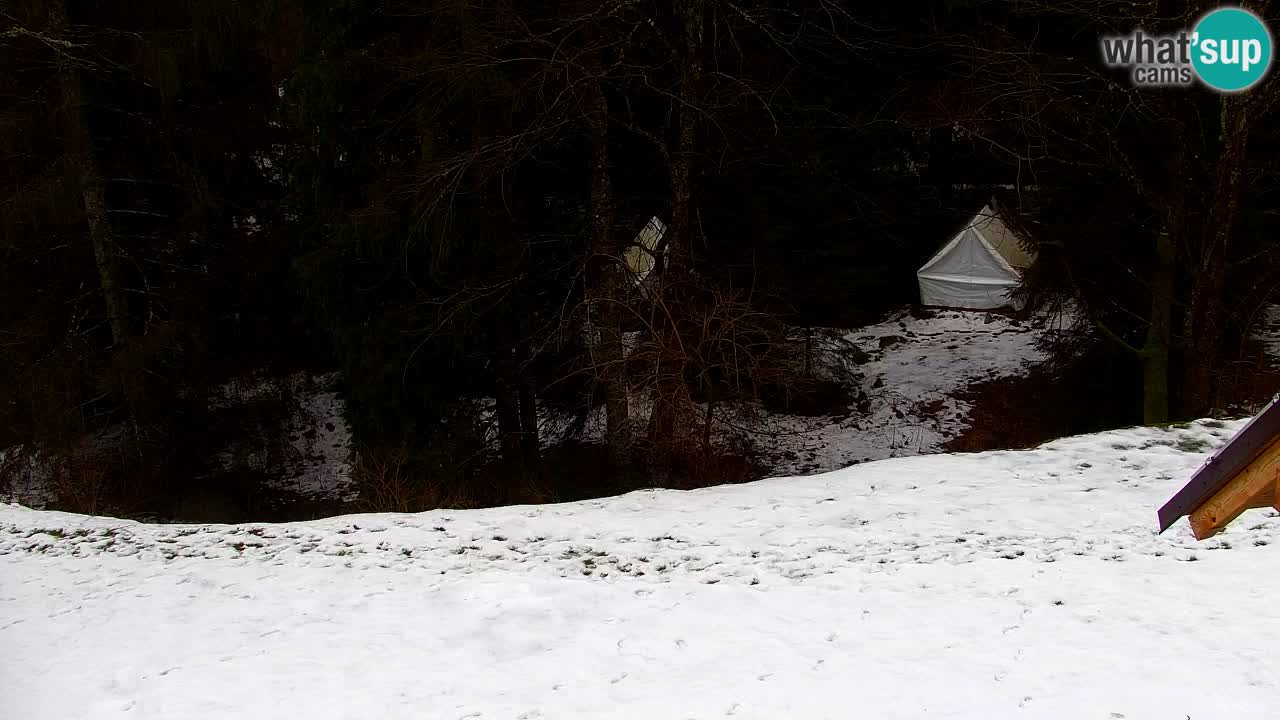 Webcam Lukanja – Pohorje houses a Water village