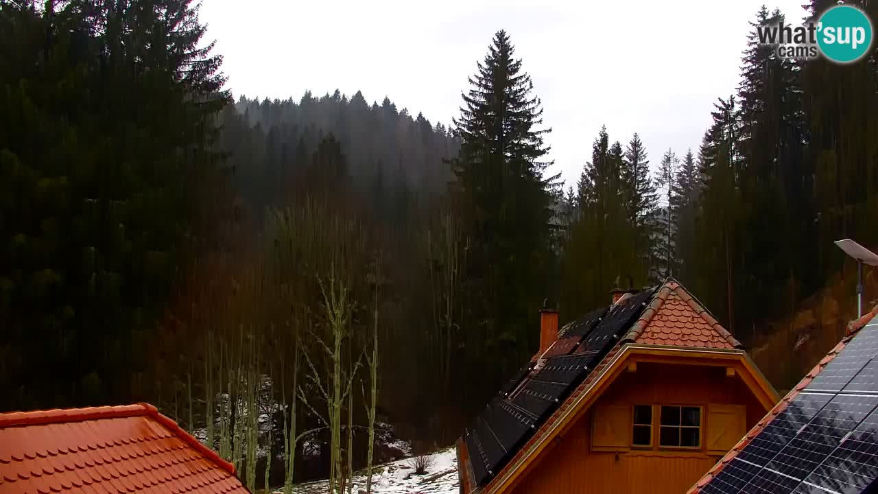 Webcam Lukanja – Pohorje houses a Water village