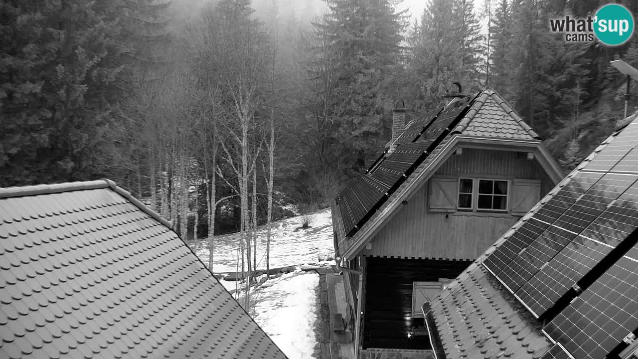 Webcam Lukanja – Pohorje houses a Water village