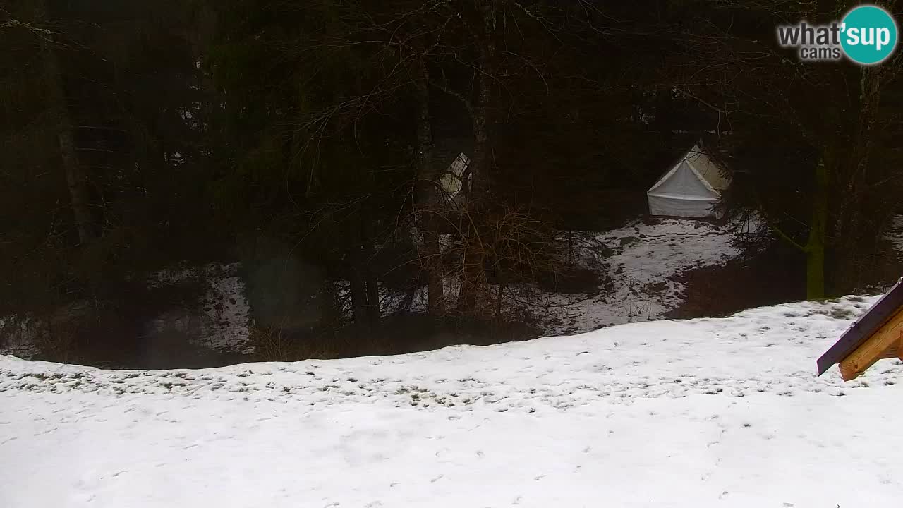 Webcam Lukanja – Water Village | Pohorje Houses