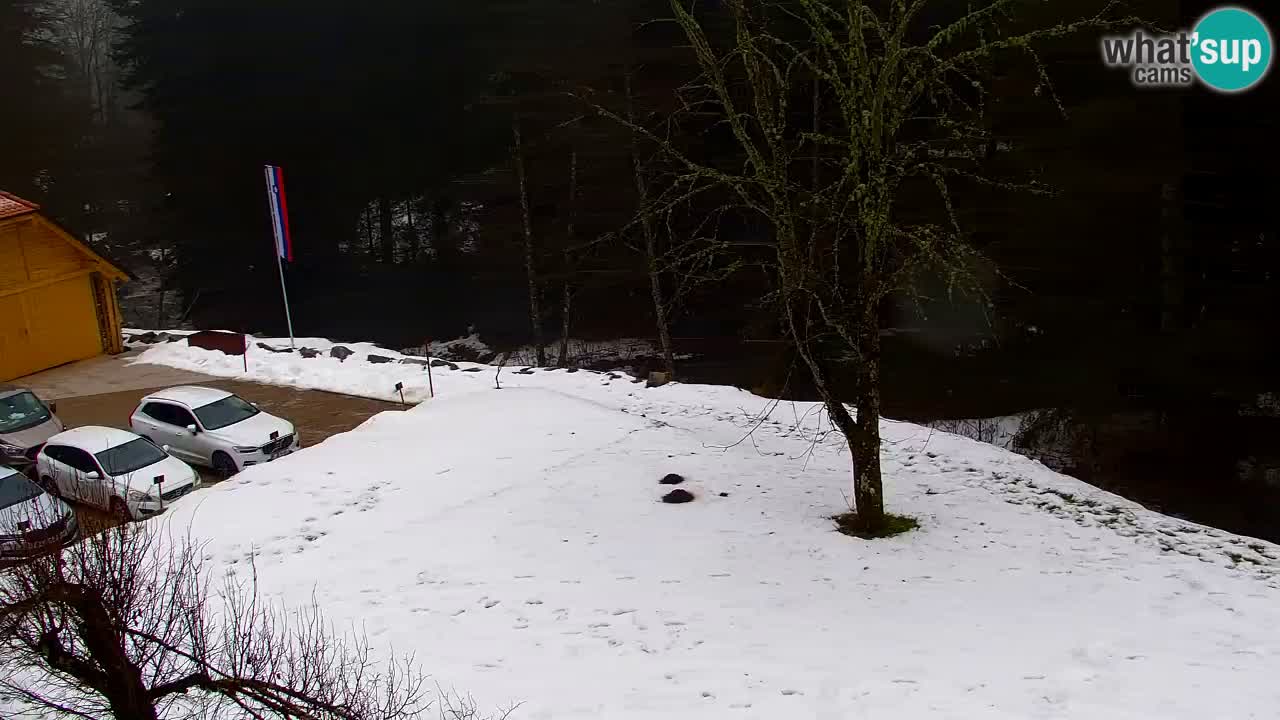 Web kamera Lukanja – Water Village | Pohorje Houses