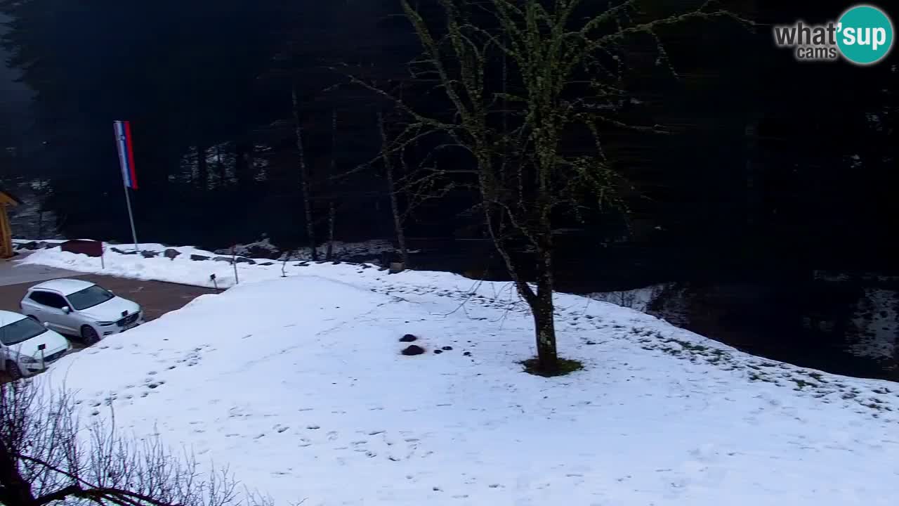 Webcam Lukanja – Water Village | Pohorje Houses