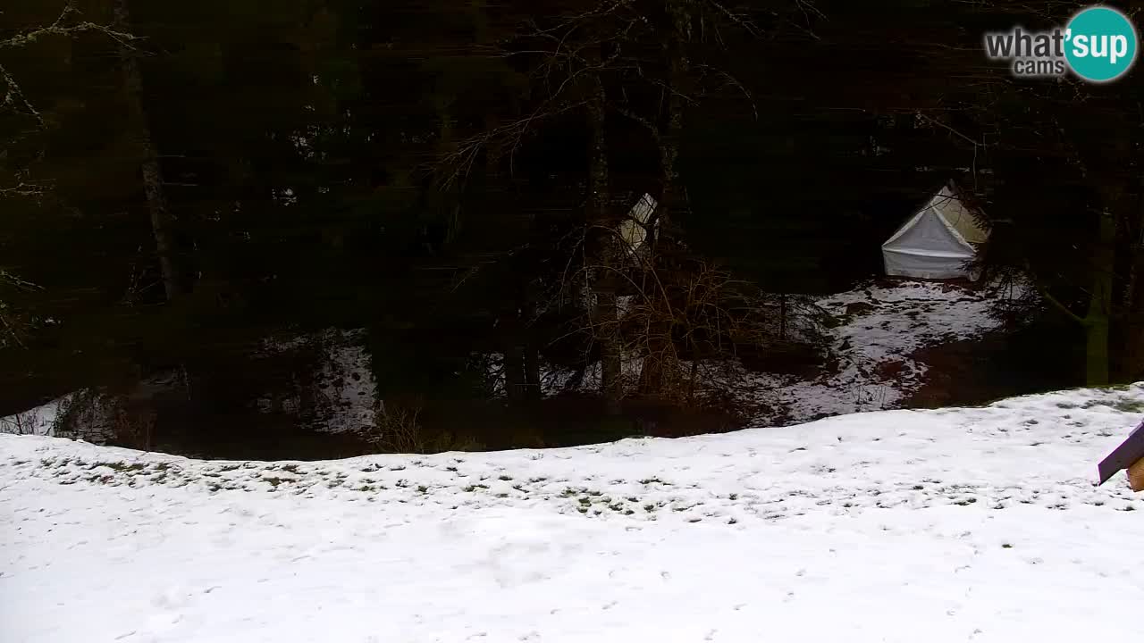 Webcam Lukanja – Water Village | Pohorje Houses