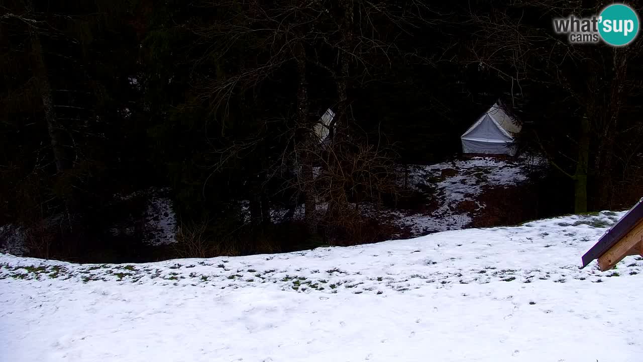 Webcam Lukanja – Water Village | Pohorje Houses