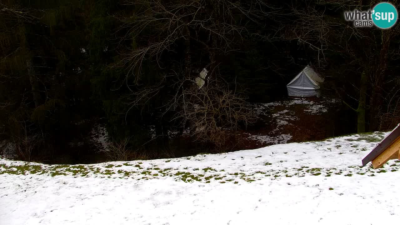 Webcam Lukanja – Water Village | Pohorje Houses