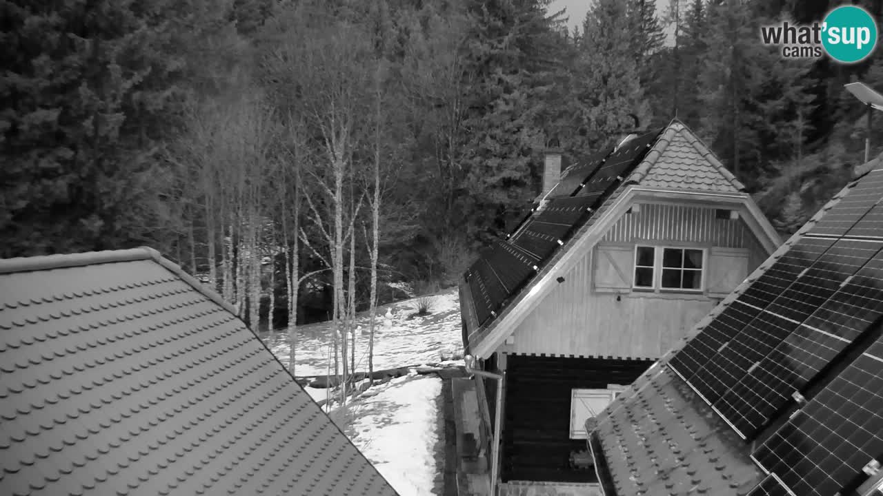 Spletna kamera Lukanja – Water Village | Pohorje Houses