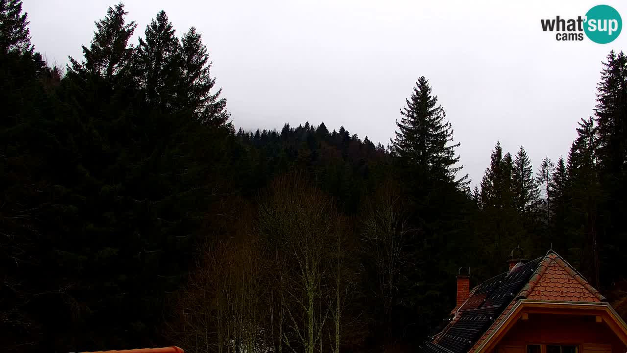 Webcam Lukanja – Pohorje houses a Water village