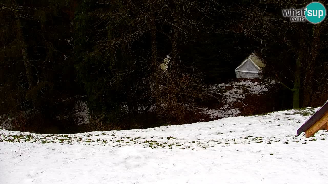 Webcam Lukanja – Pohorje houses a Water village