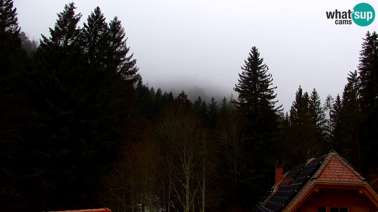 Spletna kamera Lukanja – Water Village | Pohorje Houses