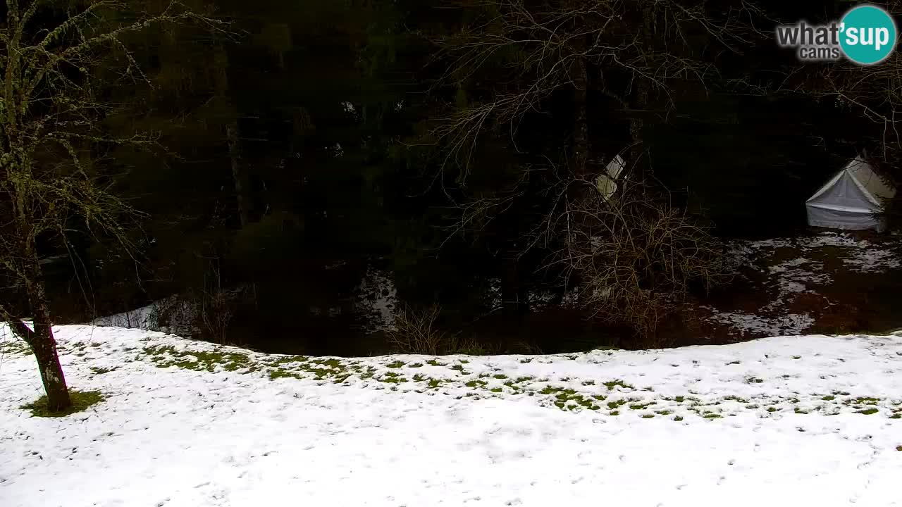 Webcam Lukanja – Water Village | Pohorje Houses