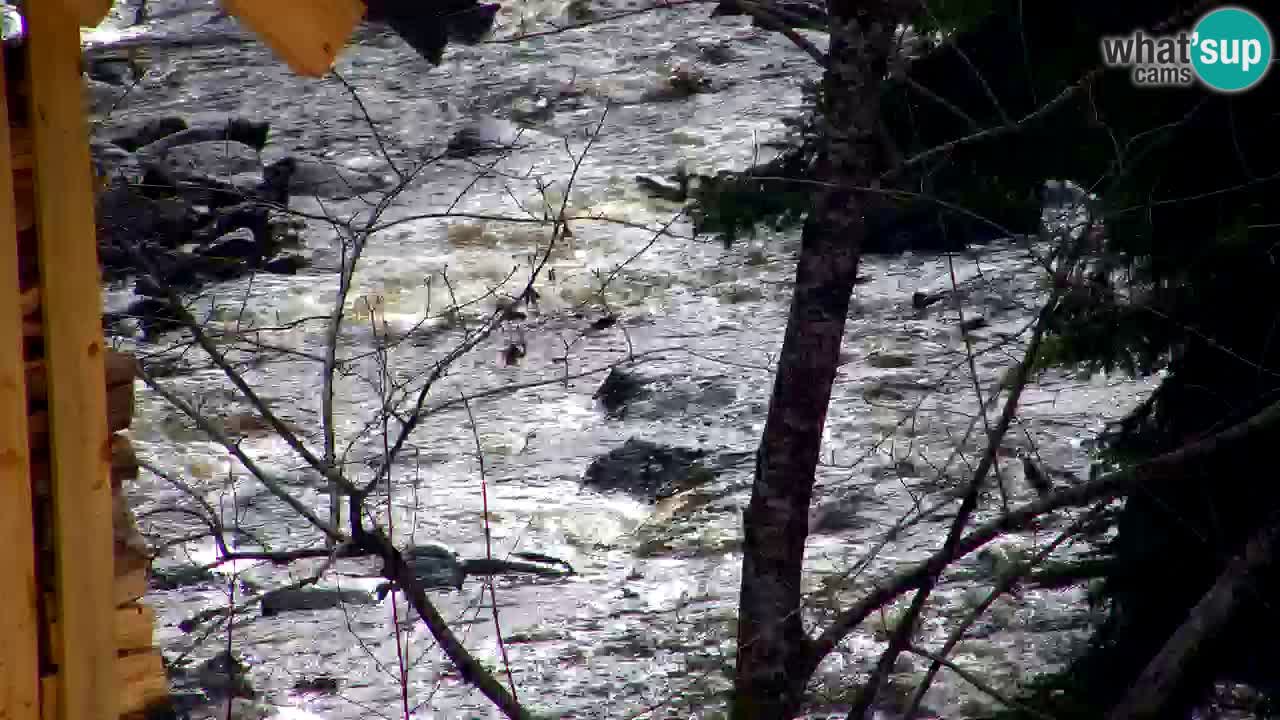 Webcam Lukanja – Water Village | Pohorje Houses