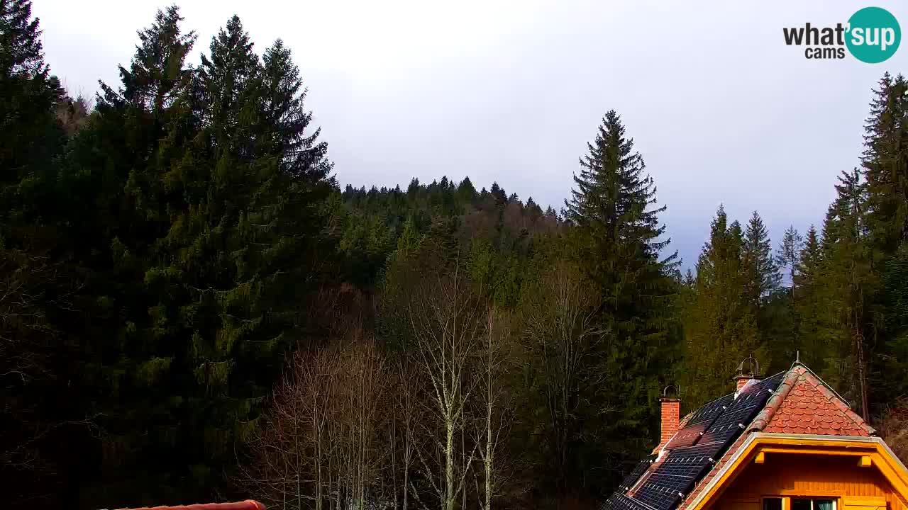 Webcam Lukanja – Water Village | Pohorje Houses