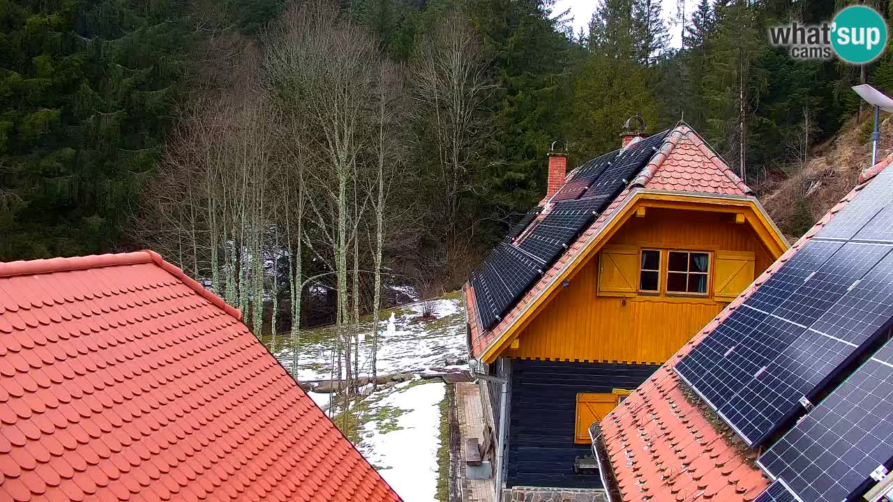 Spletna kamera Lukanja – Water Village | Pohorje Houses