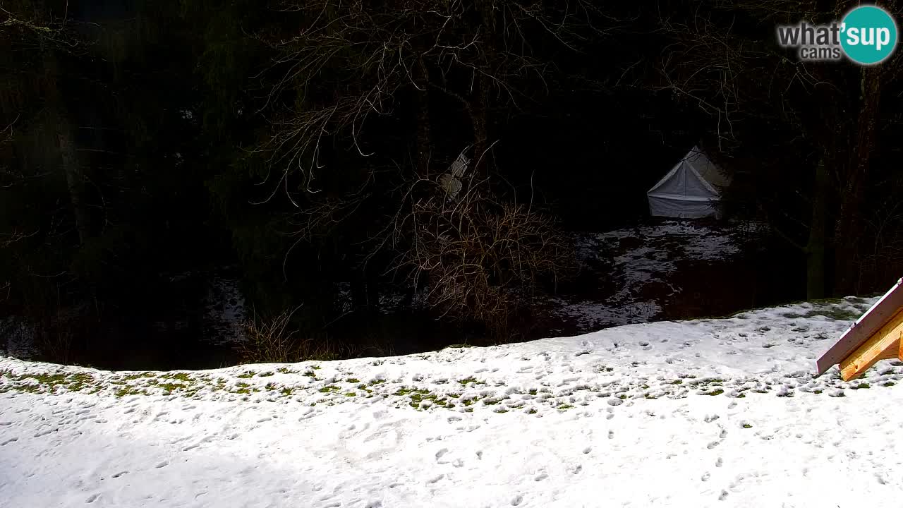 Webcam Lukanja – Water Village | Pohorje Houses