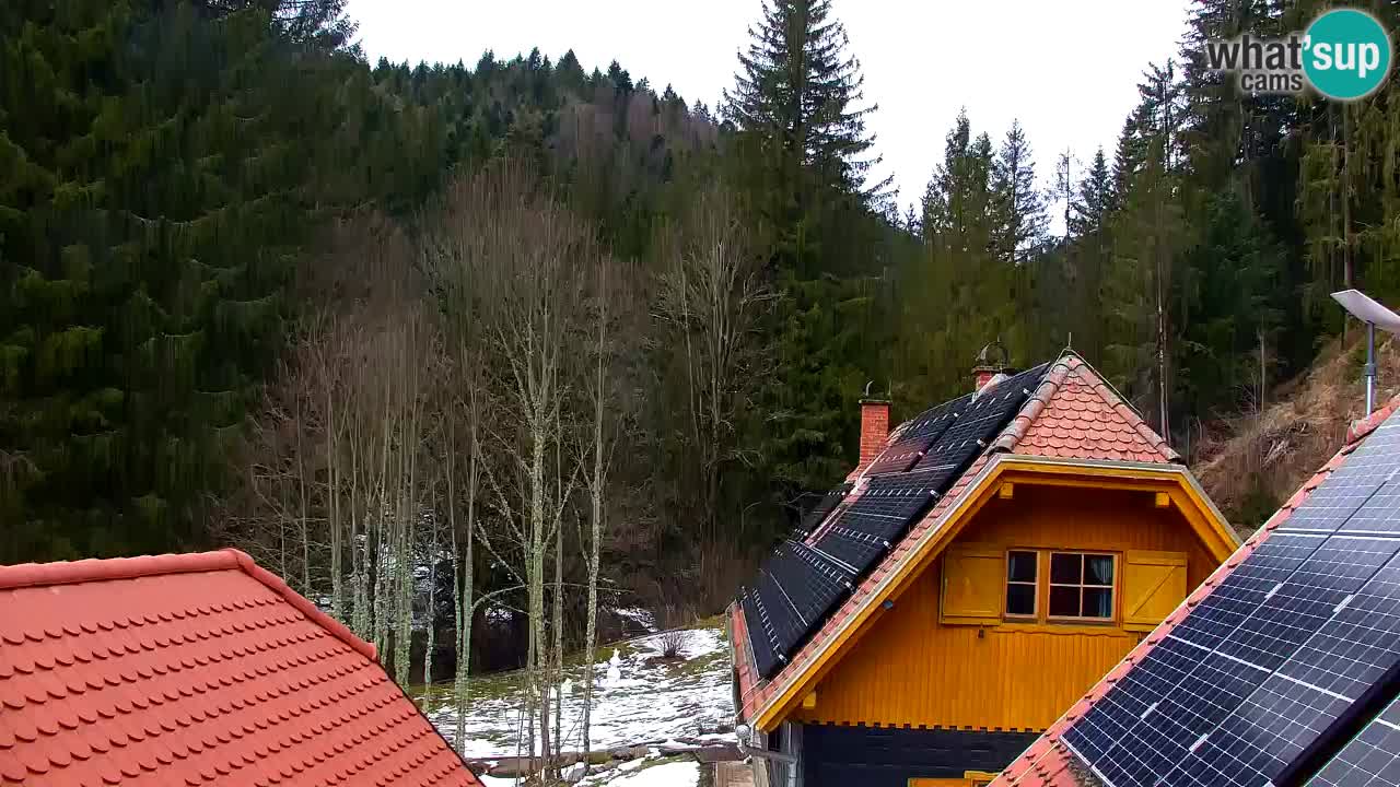 Web kamera Lukanja – Water Village | Pohorje Houses