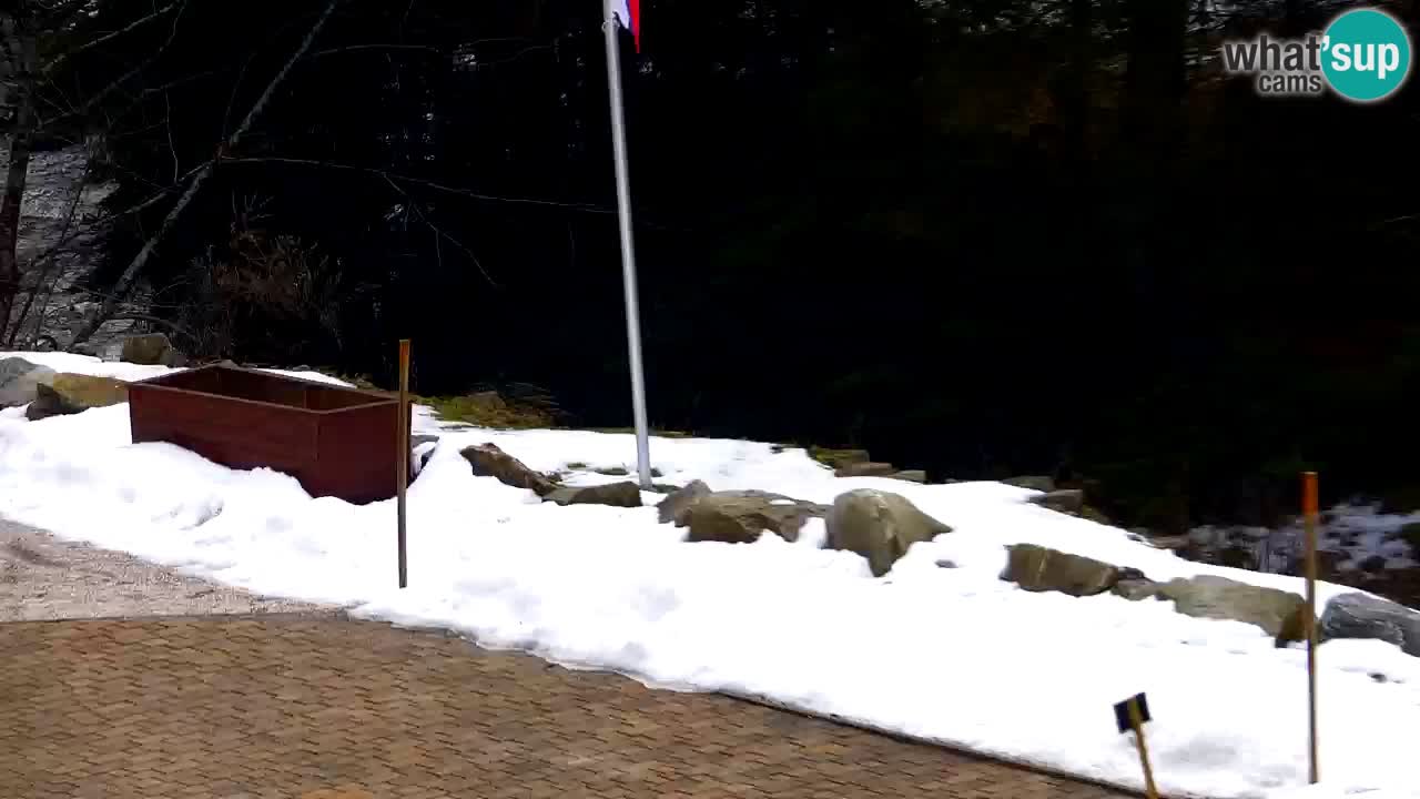 Webcam Lukanja – Water Village | Pohorje Houses