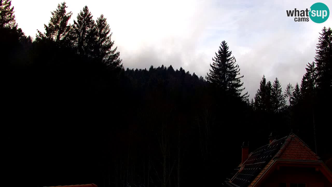 Spletna kamera Lukanja – Water Village | Pohorje Houses