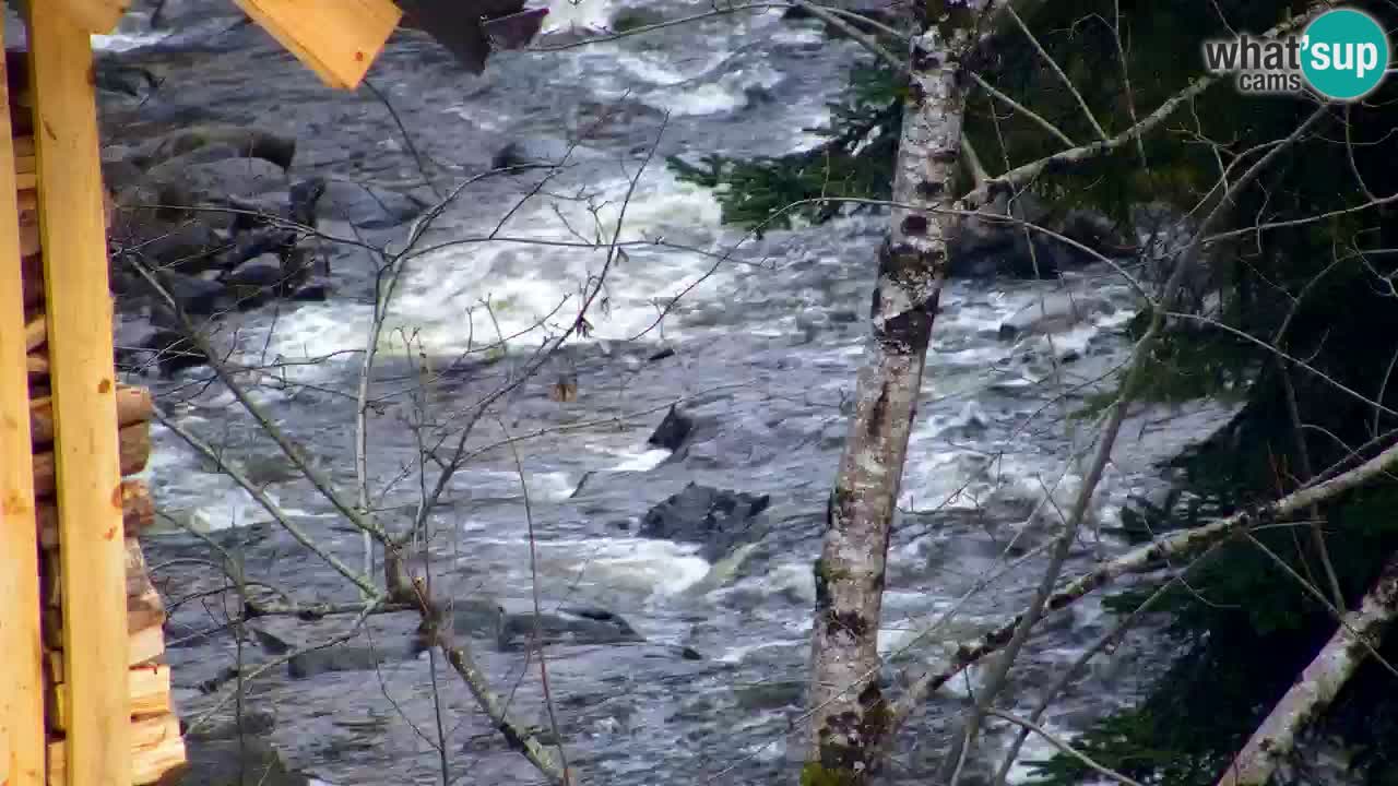 Webcam Lukanja – Pohorje houses a Water village