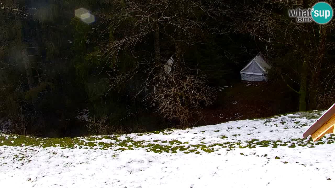 Web kamera Lukanja – Water Village | Pohorje Houses