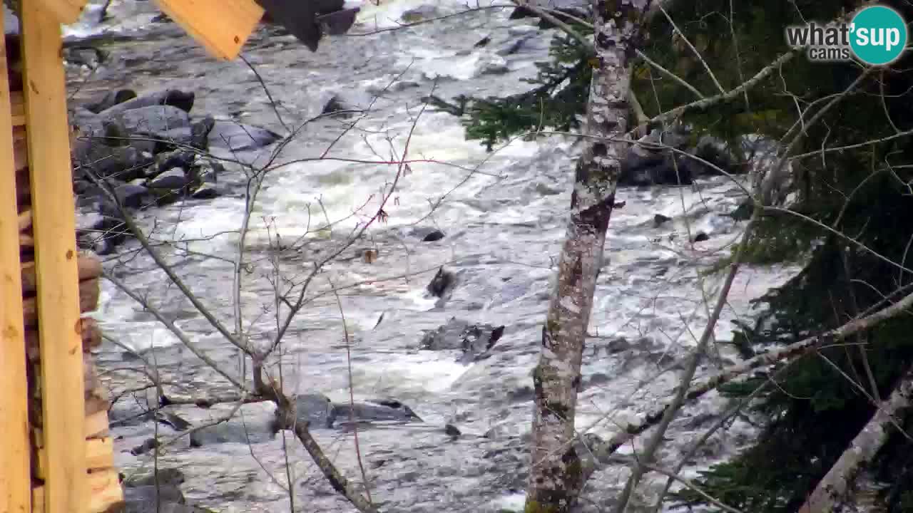 Webcam Lukanja – Water Village | Pohorje Houses