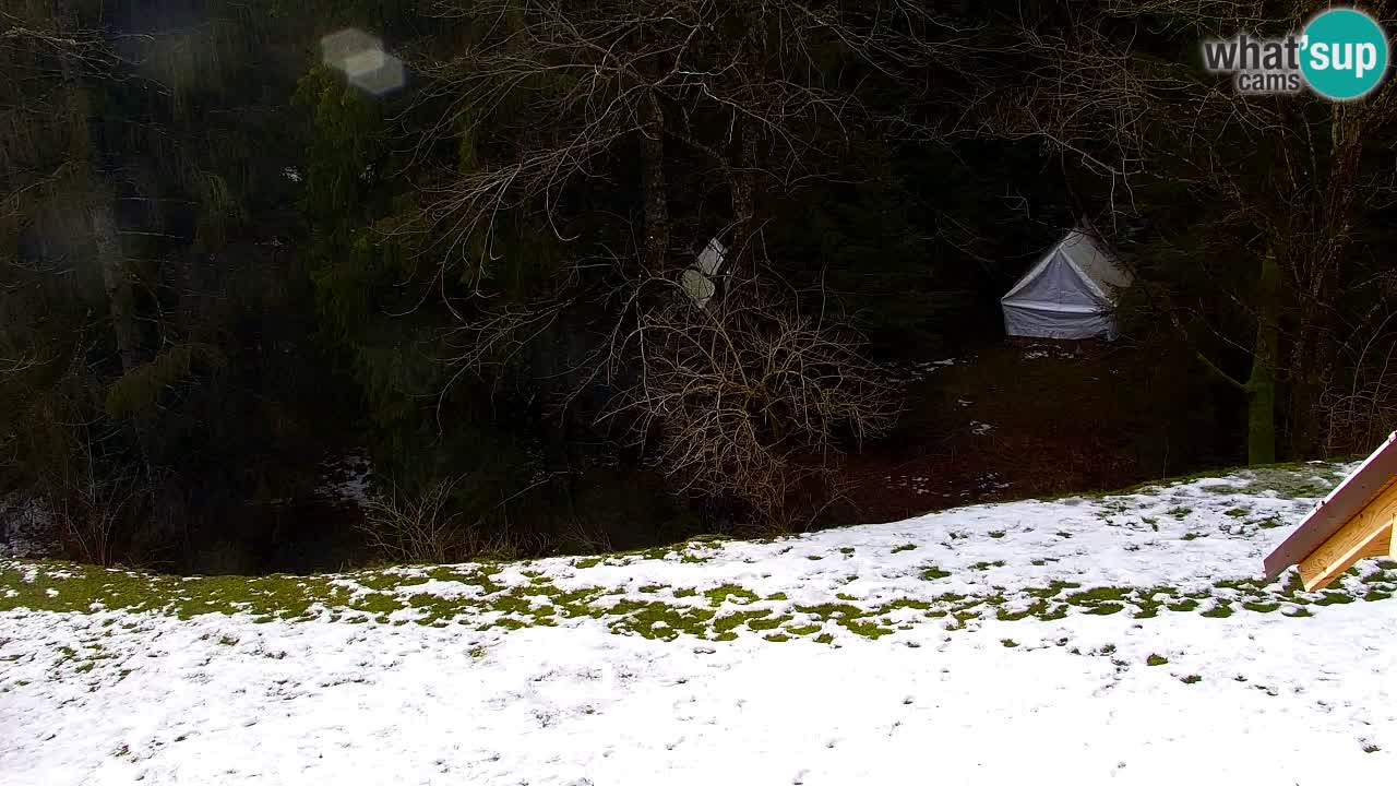 Web kamera Lukanja – Water Village | Pohorje Houses