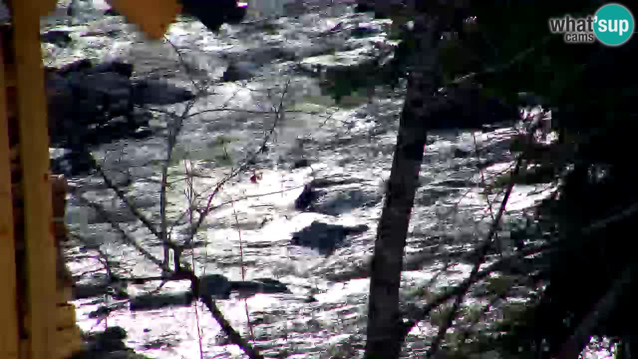 Spletna kamera Lukanja – Water Village | Pohorje Houses