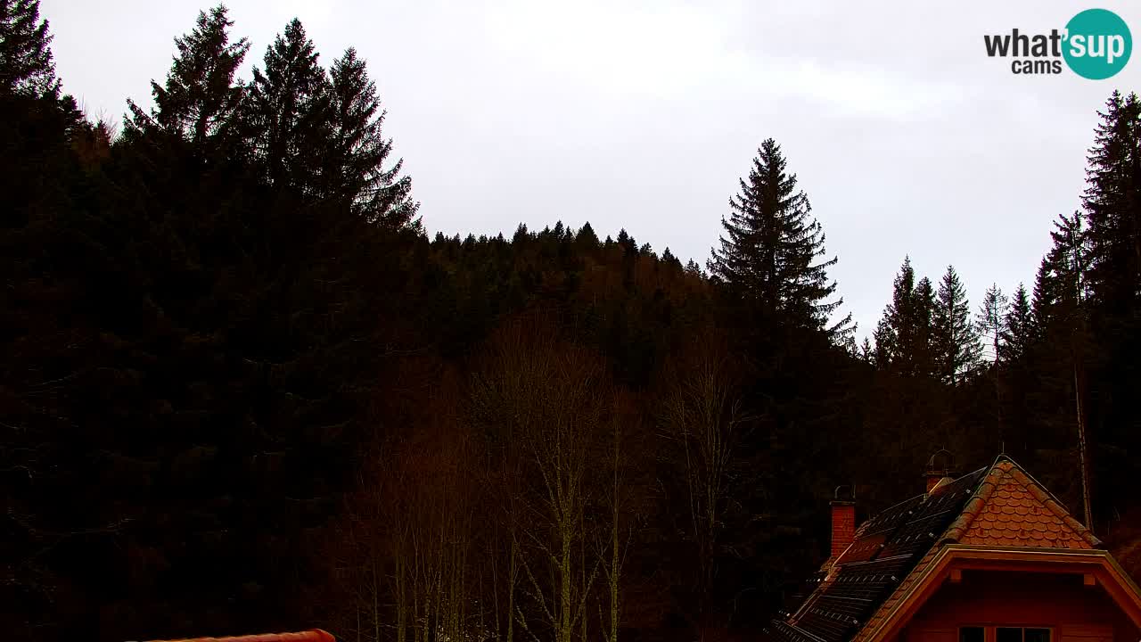 Webcam Lukanja – Pohorje houses a Water village