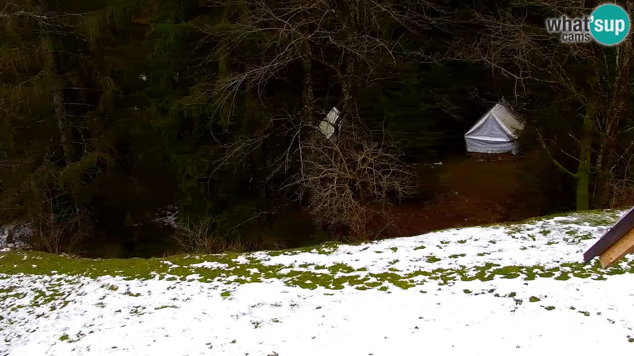 Webcam Lukanja – Pohorje houses a Water village
