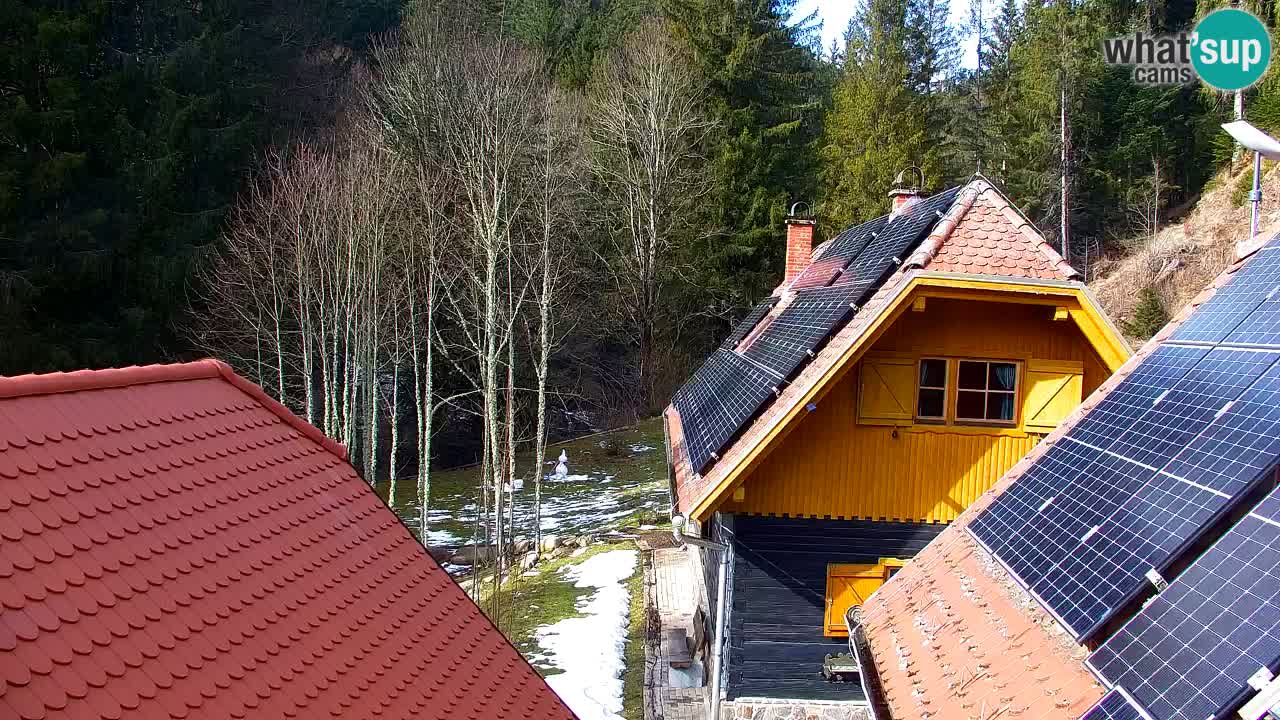 Webcam Lukanja – Pohorje houses a Water village