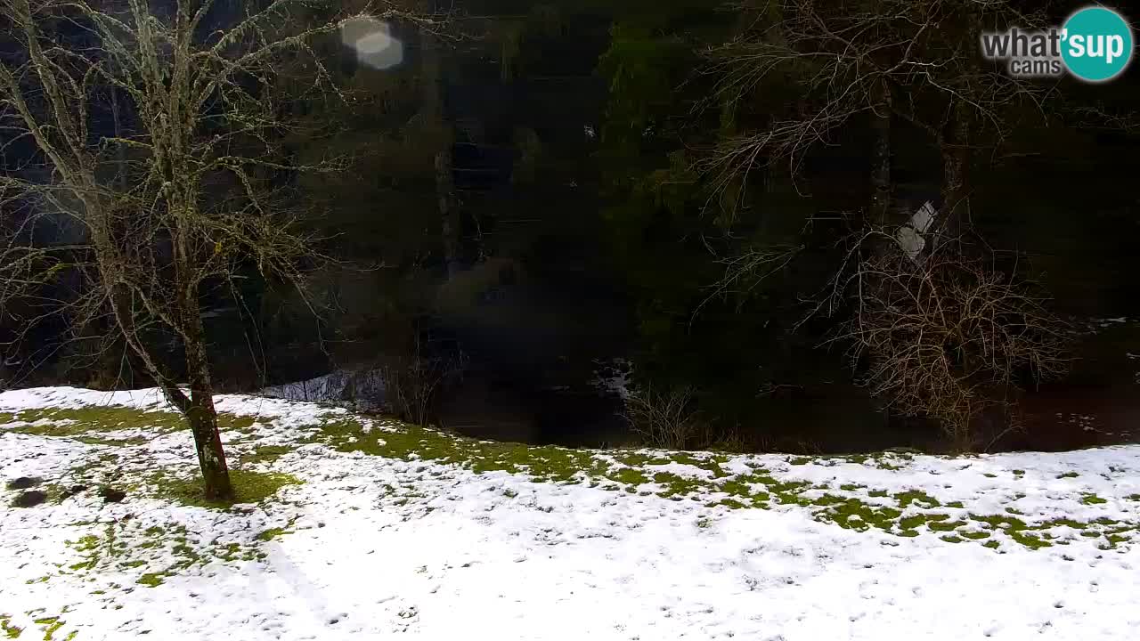 Spletna kamera Lukanja – Water Village | Pohorje Houses