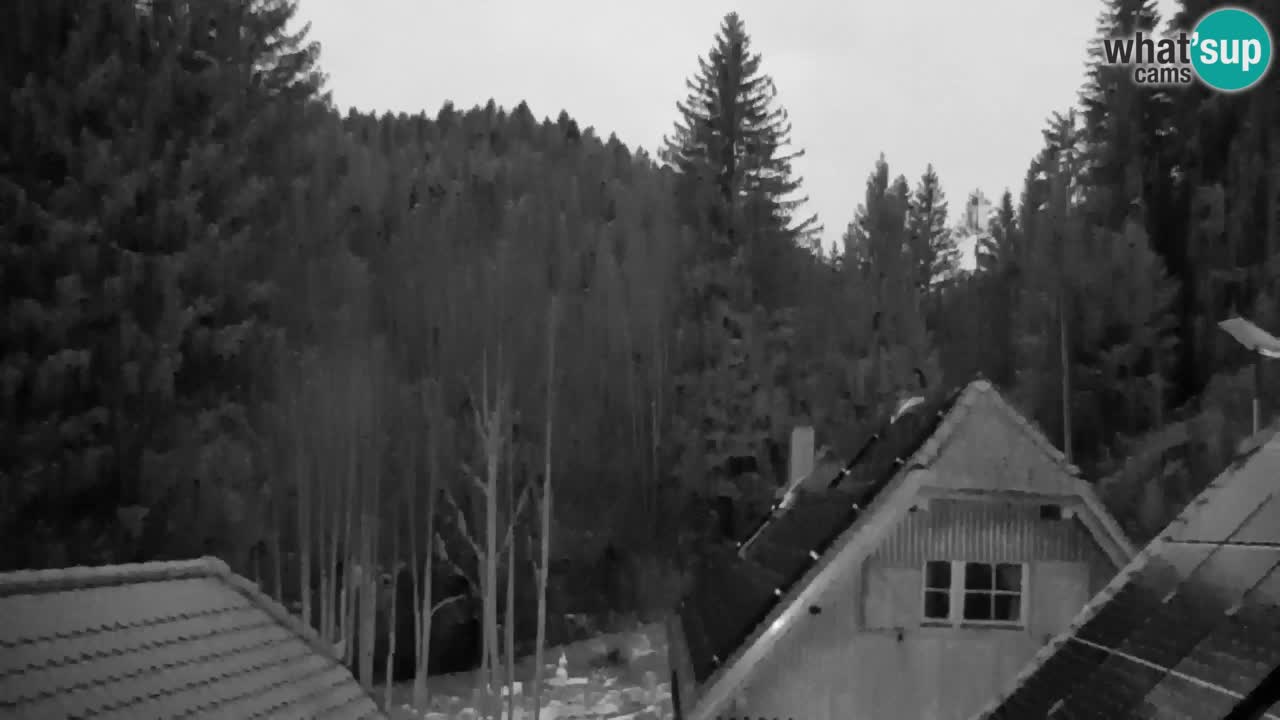 Webcam Lukanja – Water Village | Pohorje Houses